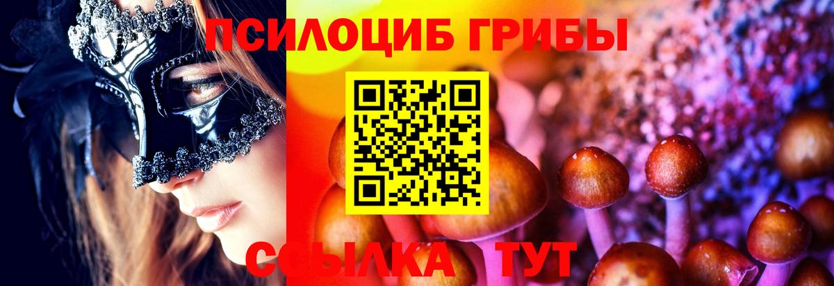 Галлюциногенные грибы MAGIC MUSHROOMS Тавда