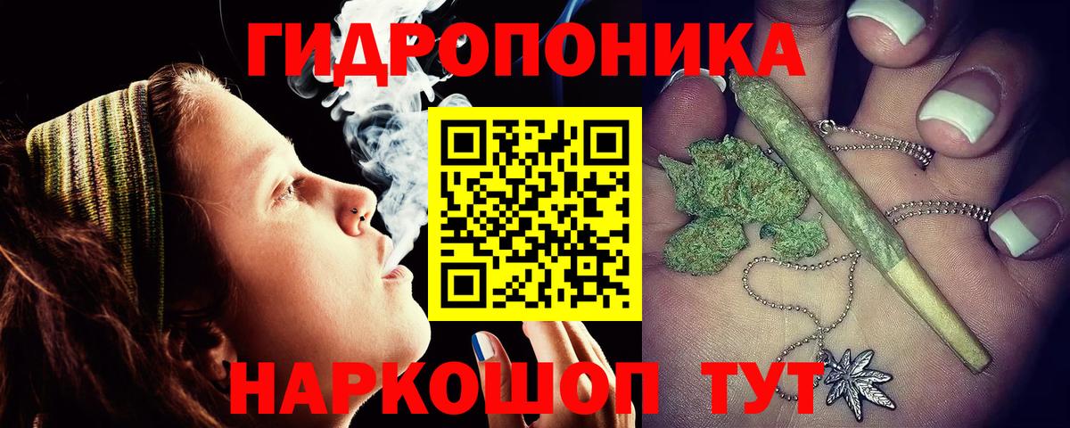 Бошки Шишки VHQ Тавда