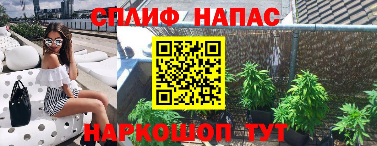 Бошки Шишки планчик  Каннабис сатива  Марихуана MAZAR  Вход с VPN  Тавда  Конопля семена 